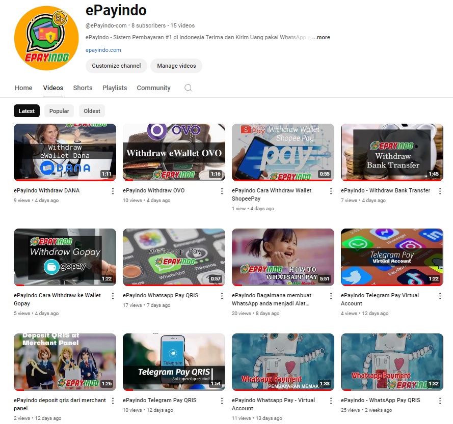 epayindo-youtube