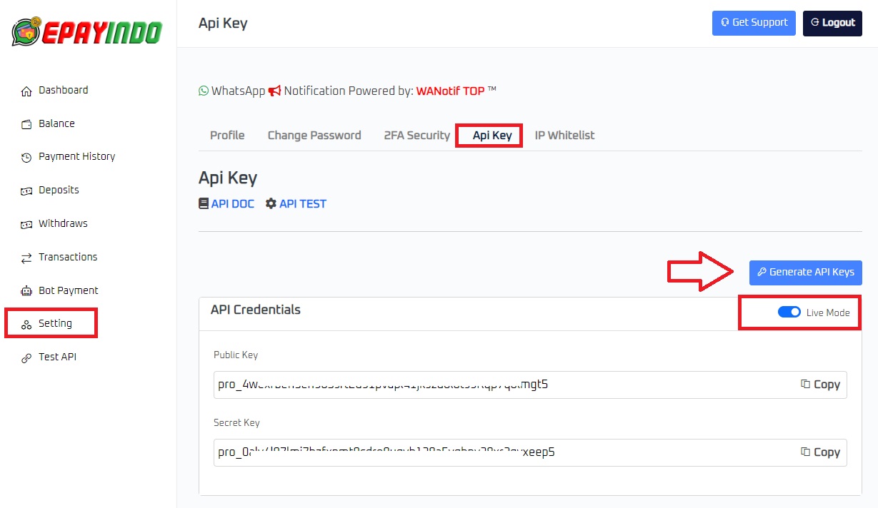 epayindo-api-key-1