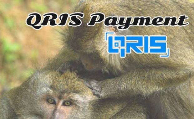 QRIS Payment